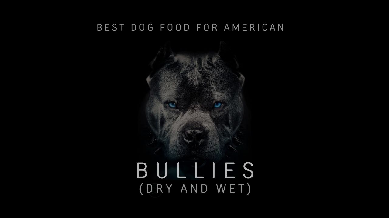 Best Dog Food for American Bullies