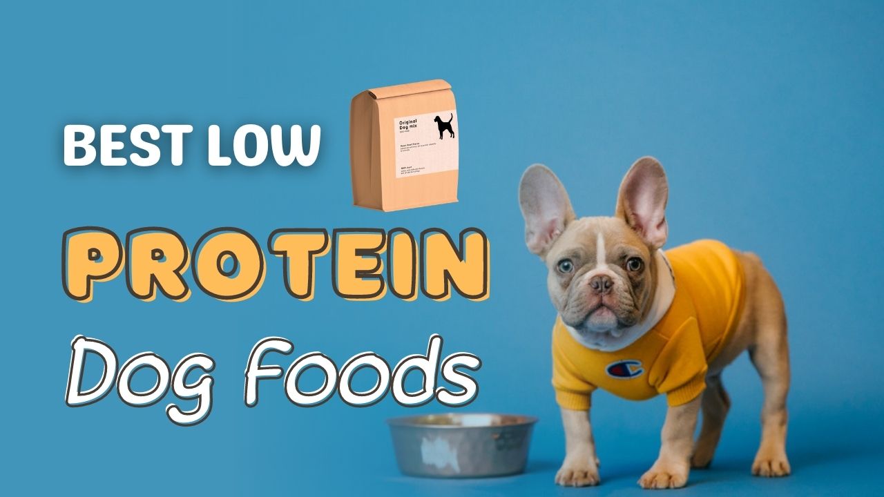 Low-Protein