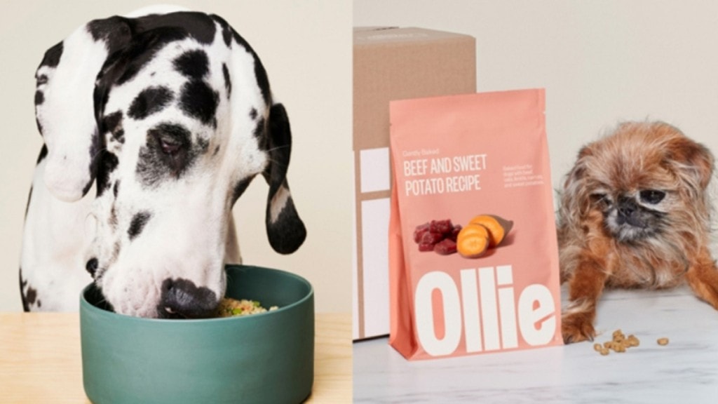 Ollie Fresh Dog Food
