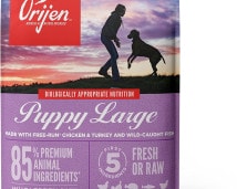 Orijen-Large-Puppy-Grain-Free-Dog-Food